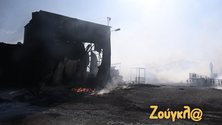 Οδοιπορικό της «Ζούγκλας» στην ΒΙ.ΠΕ Βόλου – Αποκαρδιωτικές εικόνες μετά το πέρασμα της πύρινης λαίλαπας